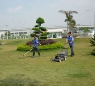Dịch vụ cắt cỏ, chăm sóc cây xanh